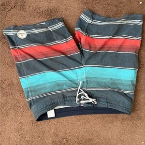 Billabong Striped Multicolor Men's Board Shorts